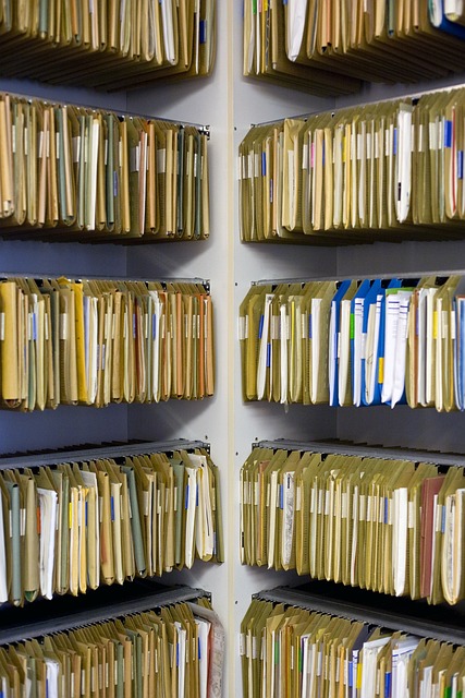 Shelves filled with numerous file folders neatly organized in rows.