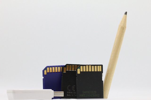 Three SD cards standing upright beside a USB connector and a wooden pencil, all placed against a plain white background.