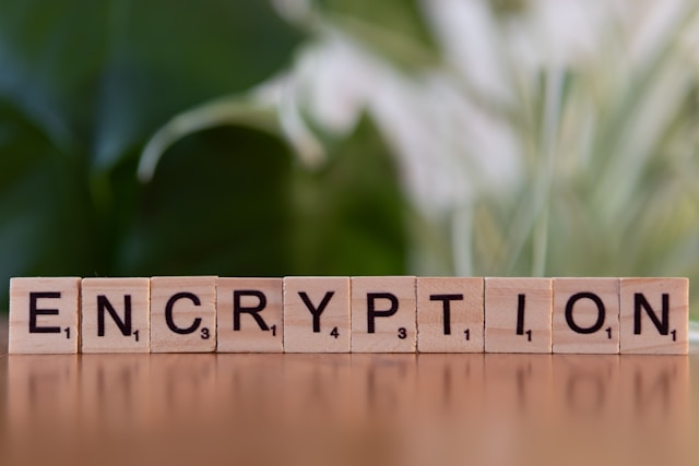 Wooden Scrabble tiles spell out "ENCRYPTION" on a table with a blurred green plant background.